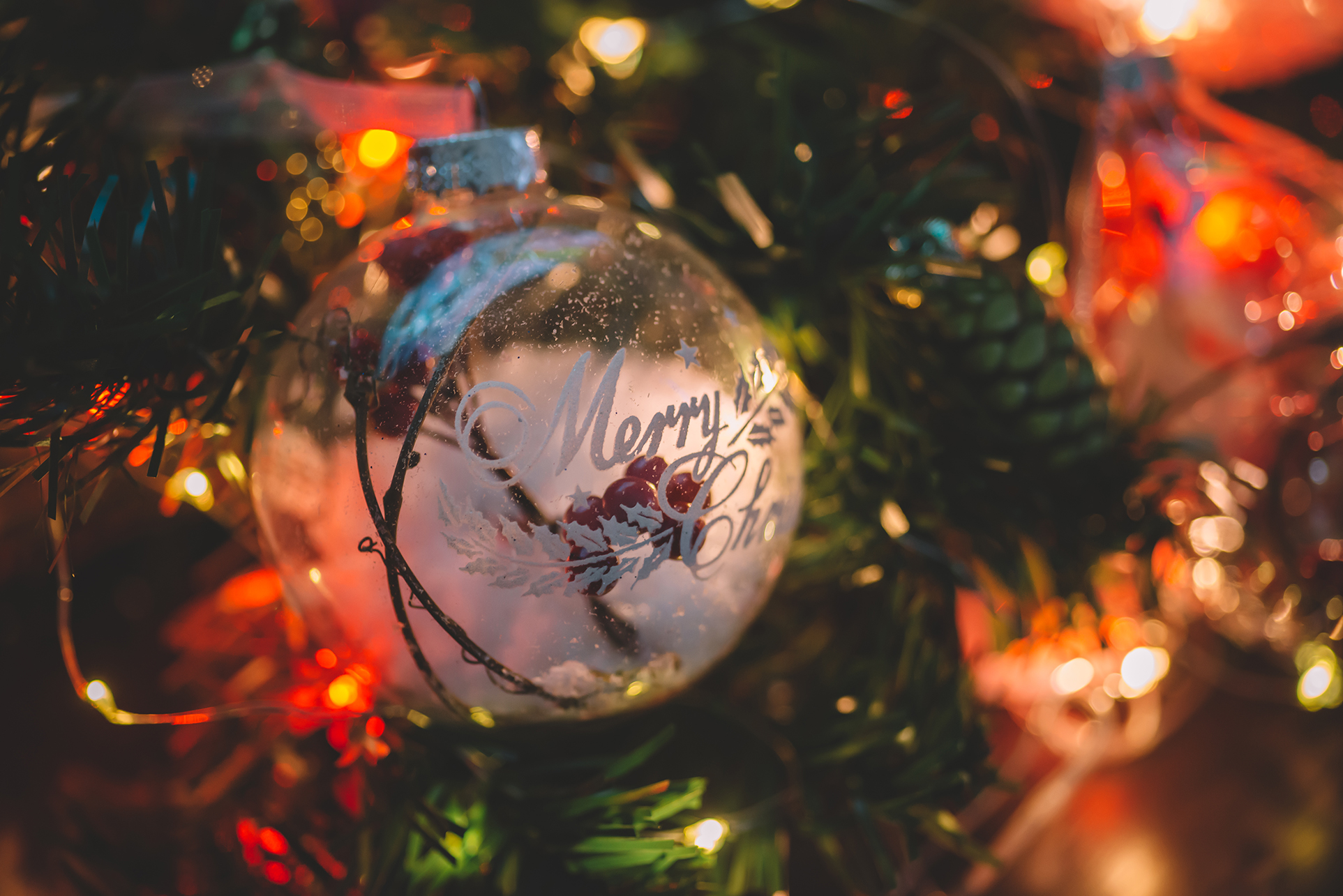 Un gruppo di giovani di Aschi Alto riciclano un albero di Natale